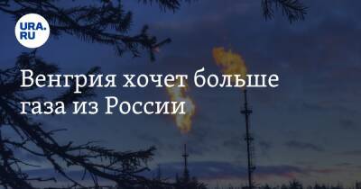 Владимир Путин - Виктор Орбан - Венгрия хочет больше газа из России - ura.news - Россия - Венгрия