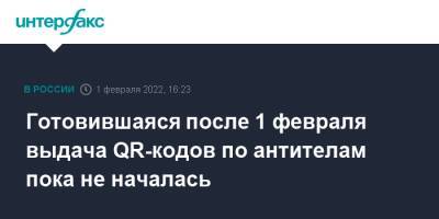 Татьяна Голикова - Готовившаяся после 1 февраля выдача QR-кодов по антителам пока не началась - interfax.ru - Москва - Россия