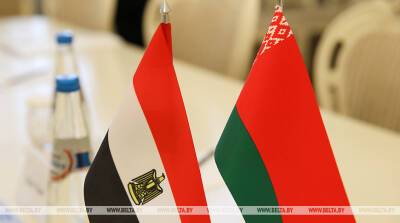 Лукашенко: отношения Беларуси и Египта стали примером настоящей партнерской кооперации - belta.by - Египет - Белоруссия - Минск - Каир