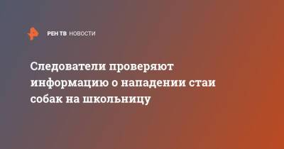 Следователи проверяют информацию о нападении стаи собак на школьницу - ren.tv - Мурманск