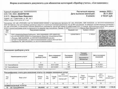Квитанции нового образца за газ получат нижегородцы в феврале - vgoroden.ru - Дзержинск - Нижегородская обл. - Нижний Новгород