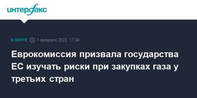 Виктор Орбан - Тим Макфи - Еврокомиссия призвала государства ЕС изучать риски при закупках газа у третьих стран - interfax.ru - Москва - Венгрия - Брюссель