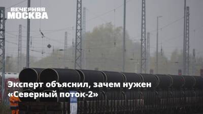 Сергей Пикин - Эксперт объяснил, зачем нужен «Северный поток-2» - vm.ru - Москва - Россия - Украина