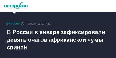 В России в январе зафиксировали девять очагов африканской чумы свиней - interfax.ru - Москва - Россия - Башкирия - Амурская обл. - Хабаровский край - Приморье край - Свердловская обл. - Самарская обл. - Россельхознадзор