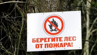 В Подмосковье началась подготовка к пожароопасному сезону - russian.rt.com - Московская обл.