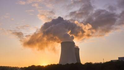 Включать ли атомную энергию и газ в таксономию? - ru.euronews.com - Россия - США - Украина - Франция