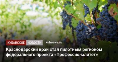 Краснодарский край стал пилотным регионом федерального проекта «Профессионалитет» - kubnews.ru - Краснодарский край