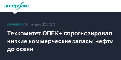 Техкомитет ОПЕК+ спрогнозировал низкие коммерческие запасы нефти до осени - interfax.ru - Москва - США - Венесуэла - Иран - Ливия