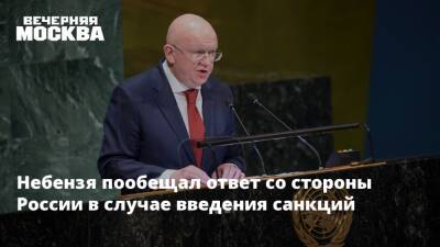 Владимир Путин - Василий Небензя - Небензя пообещал ответ со стороны России в случае введения санкций - vm.ru - Москва - Россия - США - Украина - Киев - Франция - Париж