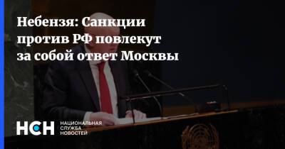 Василий Небензя - Небензя: Санкции против РФ повлекут за собой ответ Москвы - nsn.fm - Москва - Россия