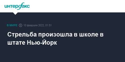 Стрельба произошла в школе в штате Нью-Йорк - interfax.ru - Москва - США - Нью-Йорк - шт. Нью-Йорк