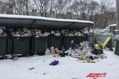 В Комсомольске-на-Амуре управляющие компании наказали за мусор - hab.aif.ru - Россия - Комсомольск