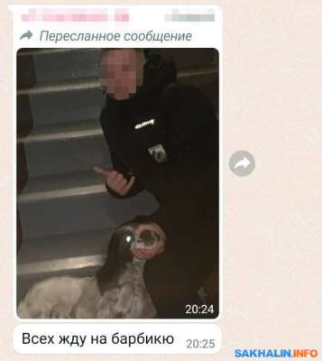 "Жарю собаку, с кем поделиться": сахалинцы нашли жуткую группу в WhatsApp - sakhalin.info - Южно-Сахалинск