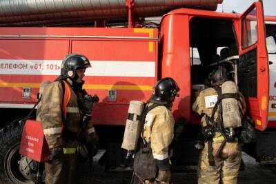 Из пожара на улице Широкая эвакуировали 12 человек в Новосибирске - novos.mk.ru - Россия - Новосибирск