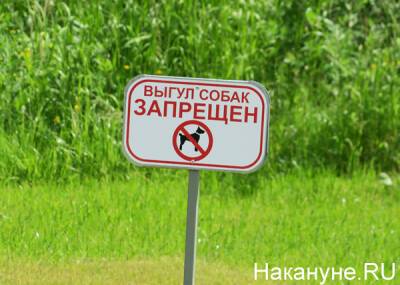 В четырех парках Екатеринбурга могут запретить вырубку деревьев и выгул собак - nakanune.ru - Екатеринбург