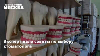 Эксперт дала советы по выбору стоматолога - vm.ru - Россия