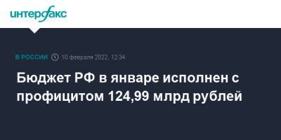 Бюджет РФ в январе исполнен с профицитом 124,99 млрд рублей - interfax.ru - Москва - Россия