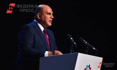 Михаил Мишустин - Программу поддержки занятости собираются продлить для россиян до 35 лет - fedpress.ru - Москва - Россия