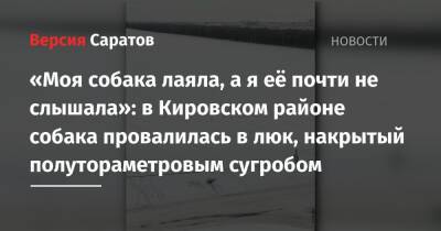 «Она лаяла, а я её почти не слышала»: в Кировском районе собака провалилась в люк, накрытый полутораметровым сугробом - nversia.ru