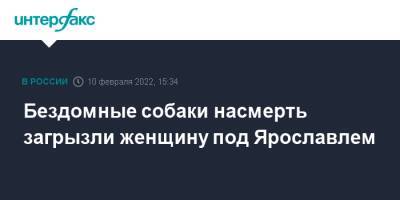 Бездомные собаки насмерть загрызли женщину под Ярославлем - interfax.ru - Москва - Ярославская обл. - Ярославль