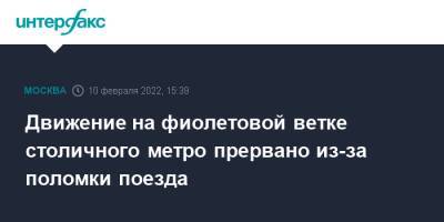 Движение на фиолетовой ветке столичного метро прервано из-за поломки поезда - interfax.ru - Москва - Москва