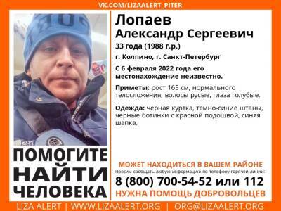 Элизабет Алерт - «Лиза Алерт» просит помощи в поисках пропавшего в Колпино 33-летнего мужчины - ivbg.ru - Украина