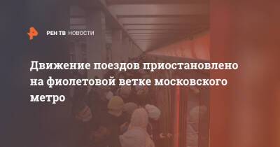 Движение поездов приостановлено на фиолетовой ветке московского метро - ren.tv - Москва - Москва