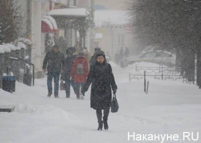 В МЧС предупредили свердловчан о сильном снегопаде - nakanune.ru