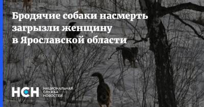 Бродячие собаки насмерть загрызли женщину в Ярославской области - nsn.fm - Ярославская обл.