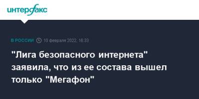 Константин Малофеев - Екатерина Мизулина - "Лига безопасного интернета" заявила, что из ее состава вышел только "Мегафон" - interfax.ru - Москва