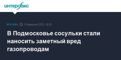 В Подмосковье сосульки стали наносить заметный вред газопроводам - interfax.ru - Москва - Московская обл. - городское поселение Раменский - городское поселение Мытищи - Московская область