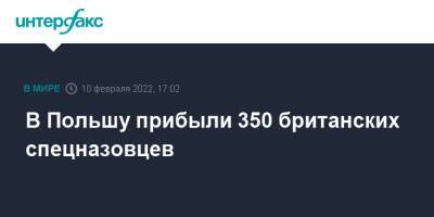 Мариуш Блащак - В Польшу прибыли 350 британских спецназовцев - interfax.ru - Москва - Англия - Белоруссия - Польша - Великобритания