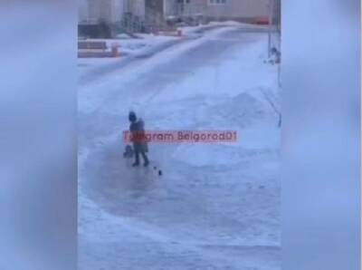 В Белгороде девочка мучила кота на глазах прохожих и попала на видео - 7info.ru - Белгород - Белгород