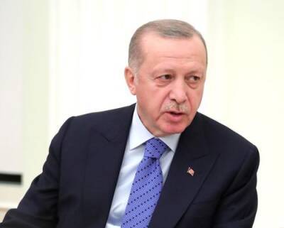 Реджеп Тайип Эрдоган - Андрей Клишас - Эрдоган - Президент Турции сдал отрицательный тест на коронавирус - argumenti.ru - Турция