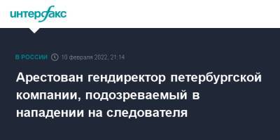 Арестован гендиректор петербургской компании, подозреваемый в нападении на следователя - interfax.ru - Москва - Россия - Санкт-Петербург - Петербург