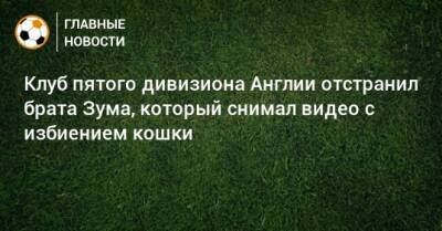 Клуб пятого дивизиона Англии отстранил брата Зума, который снимал видео с избиением кошки - bombardir.ru - Англия