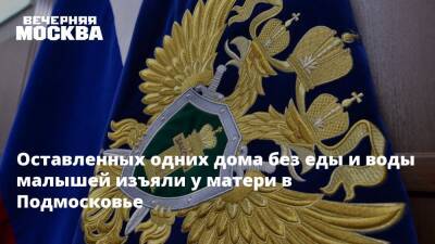 Оставленных одних дома без еды и воды малышей изъяли у матери в Подмосковье - vm.ru - Московская обл. - Холм