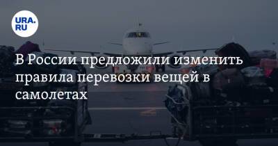 Илья Зотов - В России предложили изменить правила перевозки вещей в самолетах - ura.news - Россия