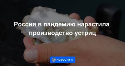 Герман Зверев - Россия в пандемию нарастила производство устриц - news.mail.ru - Россия - Крым - Краснодарский край - Севастополь - Приморье край - республика Карелия