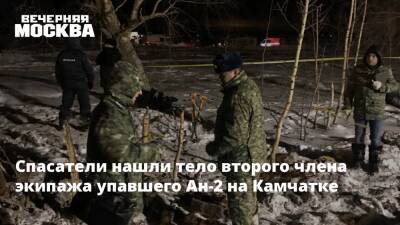 Спасатели нашли тело второго члена экипажа упавшего Ан-2 на Камчатке - vm.ru - Россия - район Елизовский