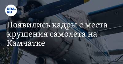 Владимир Солодов - Появились кадры с места крушения самолета на Камчатке. Видео - ura.news - Россия - Камчатский край