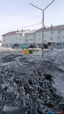 Администрация Смирных: воздух соответствует требованиям СанПиН - sakhalin.info - Сахалинская обл. - район Смирныховский - Экология