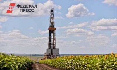 Страны ОПЕК провалили план по росту добычи нефти - fedpress.ru - Москва - Ирак - Венесуэла - Иран - Саудовская Аравия - Ливия - Эмираты - Нигерия