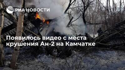 СК опубликовал видео с места падения Ан-2 на Камчатке - ria.ru - Москва - Россия - Камчатский край - район Елизовский