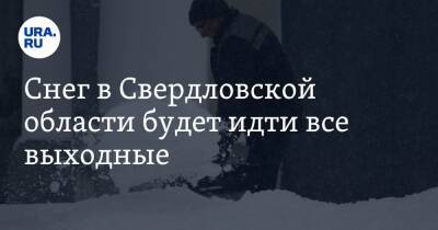 Снег в Свердловской области будет идти все выходные - ura.news - Россия - Челябинская обл. - Свердловская обл.