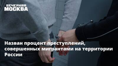 Назван процент преступлений, совершенных мигрантами на территории России - vm.ru - Москва - Россия