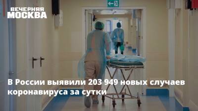 Надежда Чернышова - В России выявили 203 949 новых случаев коронавируса за сутки - vm.ru - Москва - Россия