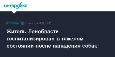 Житель Ленобласти госпитализирован в тяжелом состоянии после нападения собак - interfax.ru - Москва - Ленинградская обл. - р-н Всеволожский