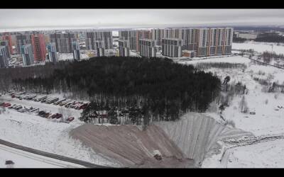 В Петербурге сняли, как черный снег сваливают у шуваловского леса - znak.com - Санкт-Петербург - р-н Приморский