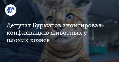 Владимир Бурматов - Депутат Бурматов анонсировал конфискацию животных у плохих хозяев - ura.news